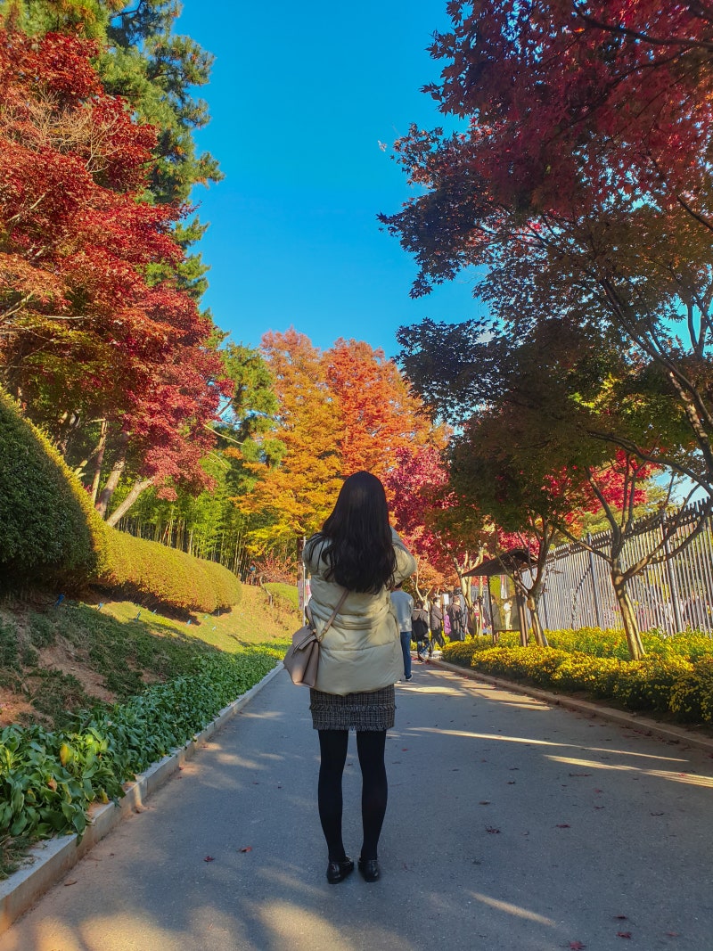 청남대 예약 입장료 단풍시기 절정 시기와 관람 코스