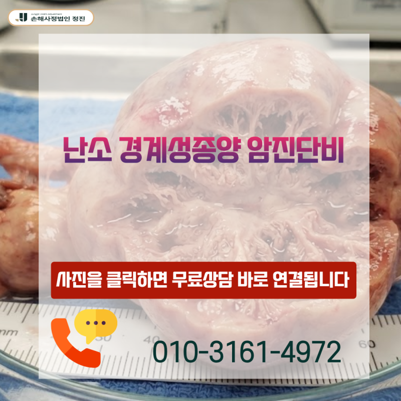 난소 경계성종양 암진단비, D39.1 진단서로 일반암 100% 수령 가능할까?