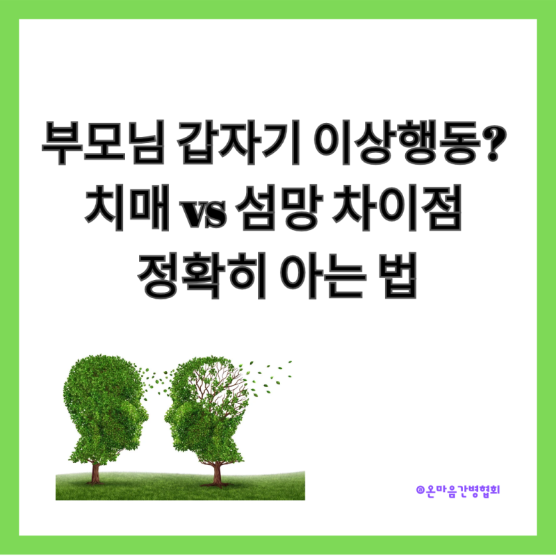 치매와 섬망의 결정적 차이점 5가지 (2026년 최신 정보)