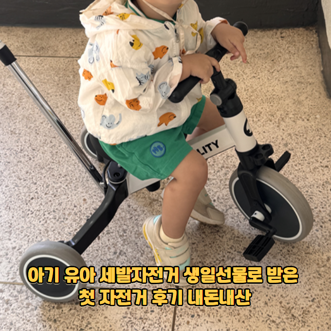 유아 세발자전거 추천 킥보드 다음으로 선택한 첫 자전거 후기