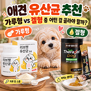 애견 유산균 추천, 가루형과 겔형 중 어떤 걸 골라야 할까?