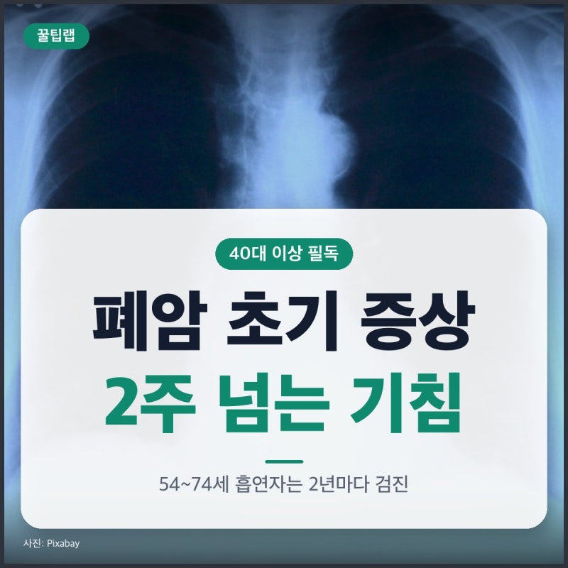 폐암 초기 증상, 2주 넘는 기침부터 국가검진 대상까지