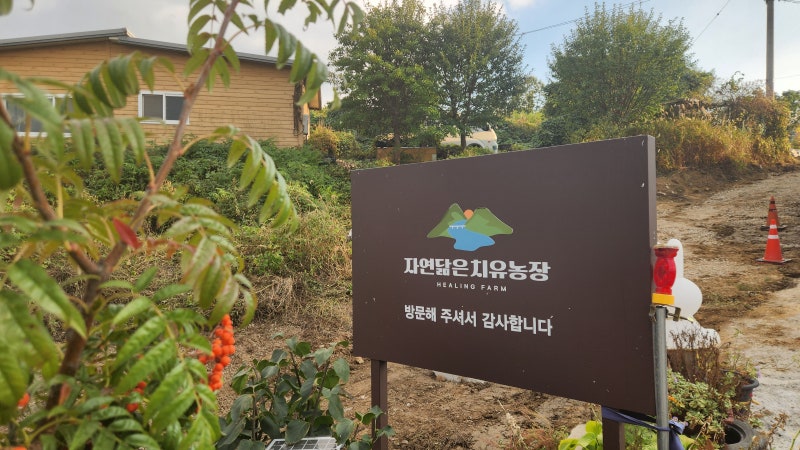 대구 군위 가볼만한곳, 자연 닮은 치유 농장 캠핑장 솔직후기 #2