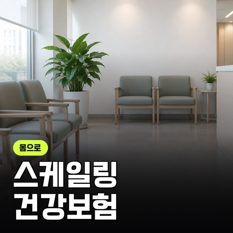 만 19세 스케일링 건강보험, 연 1회와 본인부담을 공단 안내로 맞춰 본 기록