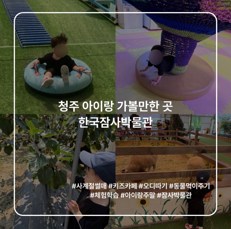 [청주 아이랑 가볼만한 곳] 아이랑 주말 하루 순삭! 한국잠사박물관 | 사계절썰매, 먹이주기....