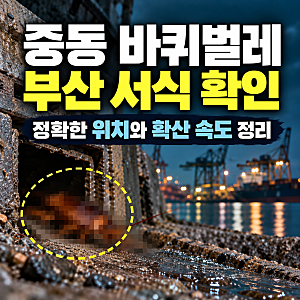 중동 바퀴벌레 부산 서식 확인, 정확한 위치와 확산 속도 정리