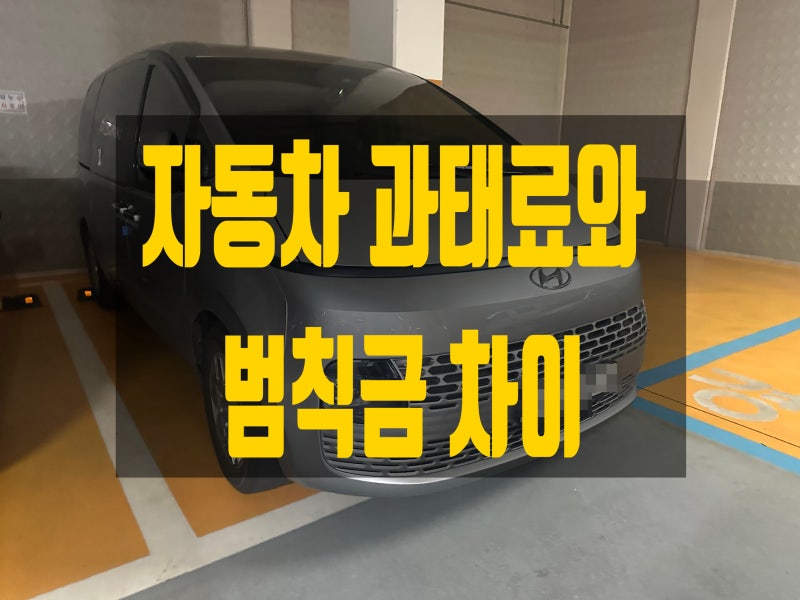 자동차 과태료와 범칙금 차이, 벌점과 납부 기준 알아보기