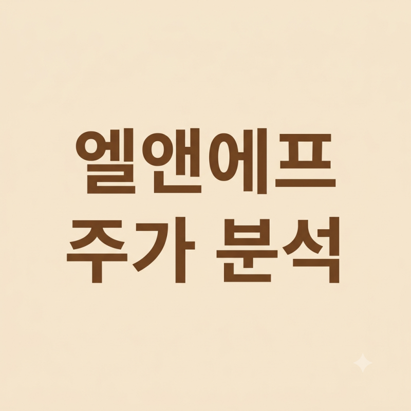 엘앤에프 주가 기업분석