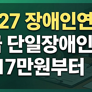 2027년 장애인 연금 역대급 인상! 3급 장애인도 연금 받는다? (+신청 방법과 지원 기준)