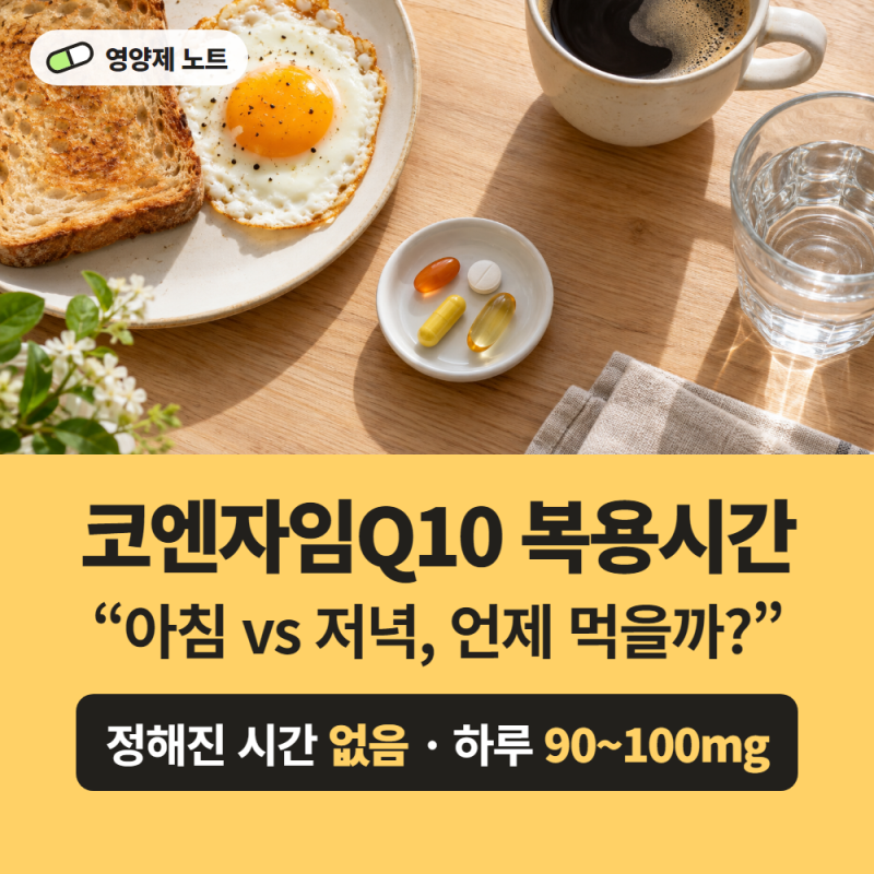 코엔자임Q10 복용시간, 아침 vs 저녁 언제 먹을까? 코큐텐 식후 복용과 약 주의사항