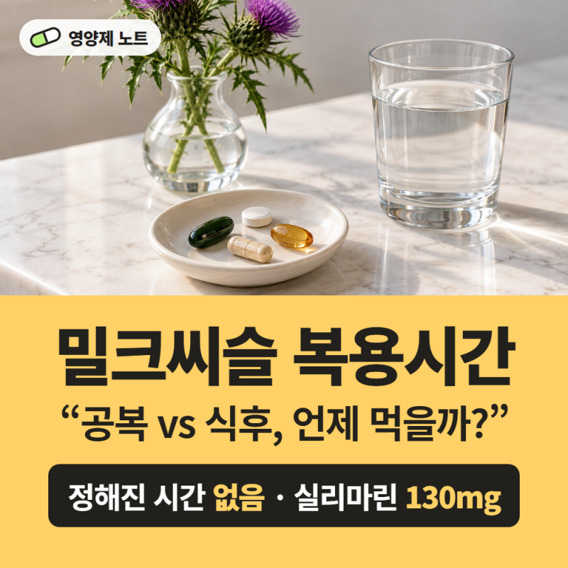 밀크씨슬 복용시간, 공복 vs 식후 언제 먹을까? 부작용과 같이 먹을 때 조심할 약 정리