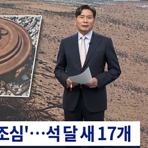 강화도 해수욕장 북한 지뢰 발견, 나경원 정부 대응 비판