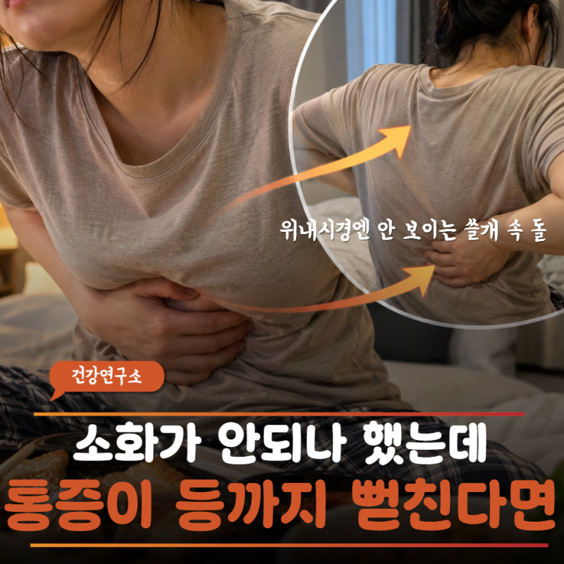 위경련인 줄 알았던 등 뒤까지 뻗친 통증, 담낭염증상일 수 있어요