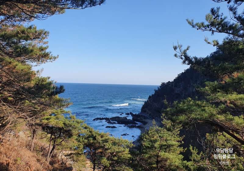 정동심곡 바다부채길 입장료 주차 소요시간 코스 솔직후기