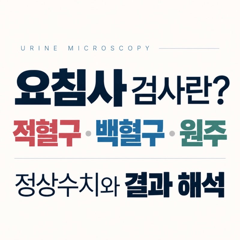 요침사 검사란? 적혈구·백혈구·원주 정상수치와 결과 해석