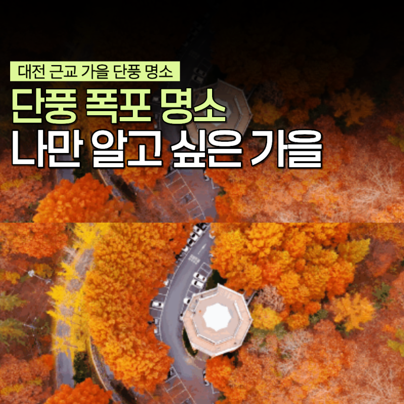 대전 근교 가을 단풍 명소 국내 여행지 나들이 추천 가볼만한곳 PICK 5