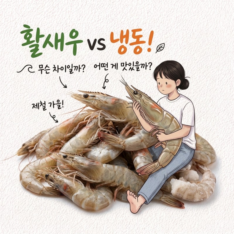 "가을 놓치면 냉동만 남는다고?" 흰다리새우 제철 활새우 냉동새우 차이 고르는법 크기 해동....