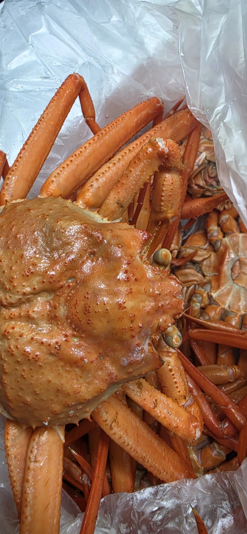 홍게 대게 차이와 효능- 택배로 받은 자숙 홍게 맛있게 먹는 법