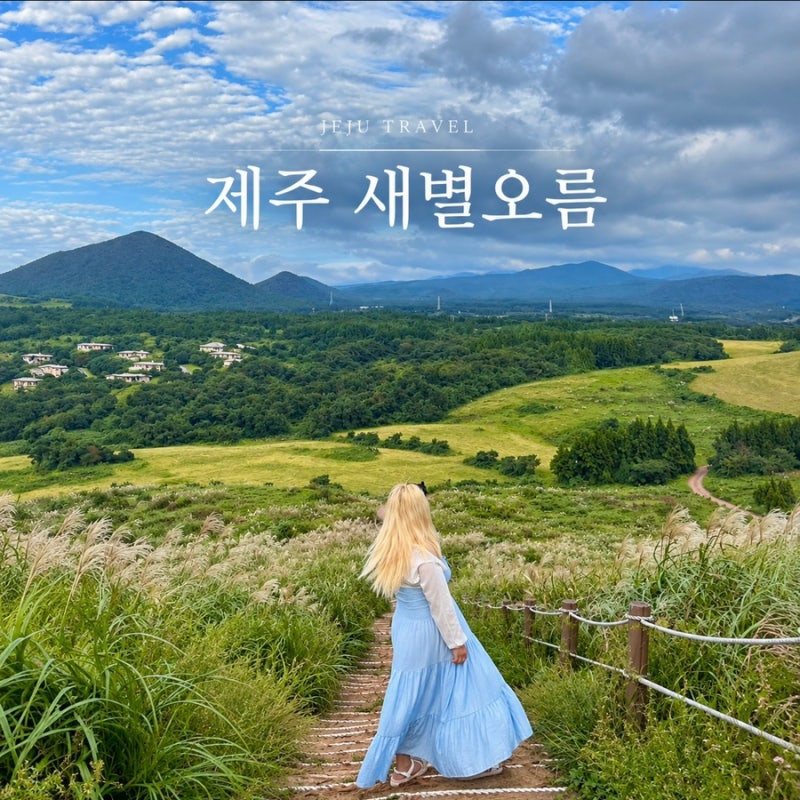 제주 애월 새별오름 가을 억새 명소 정상 소요시간 가을제주도여행 후기