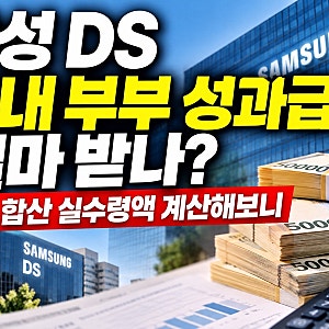 삼성 DS 사내 부부 성과급 얼마 받나? 부부 합산 실수령액 계산해보니