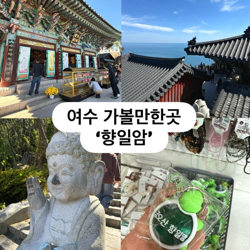 여수 가을 가볼만한곳 향일암 주차 반입금지 정보 총정리