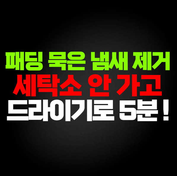 옷장에서 꺼낸 패딩 퀴퀴한 냄새 드라이기 5분 셀프 제거법