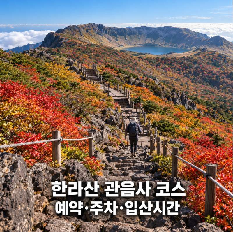 제주 한라산 관음사 코스 예약 주차 입산시간 재개방 나혼자산다 전현무코스