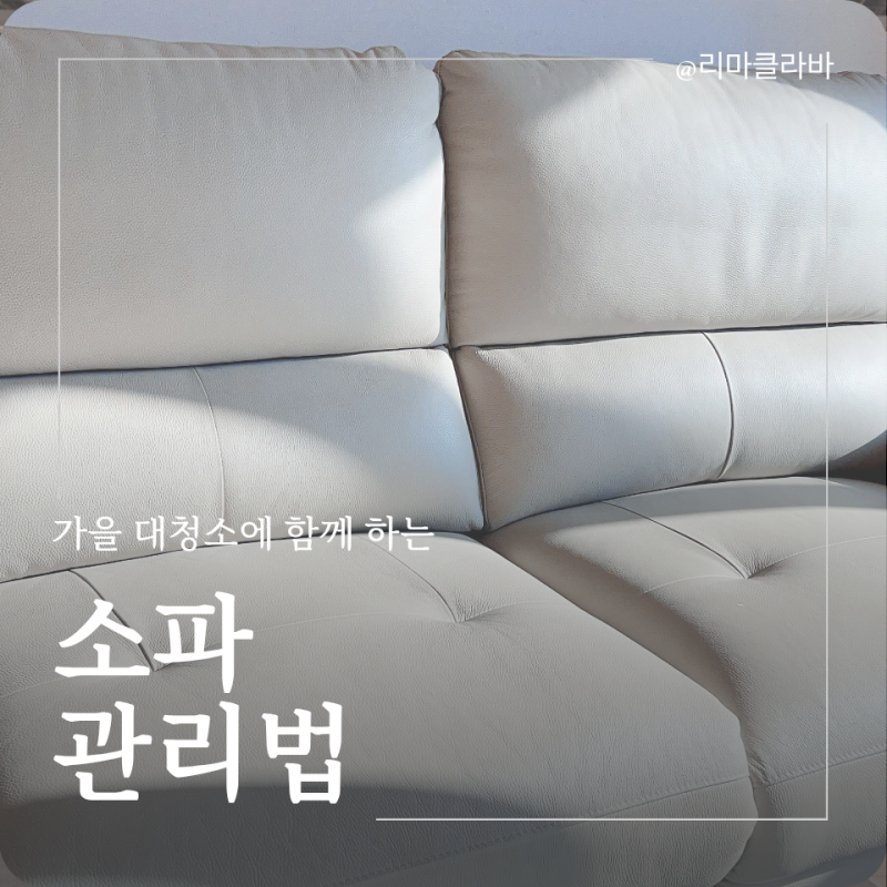소파 청소 가을 맞이 관리하는 법