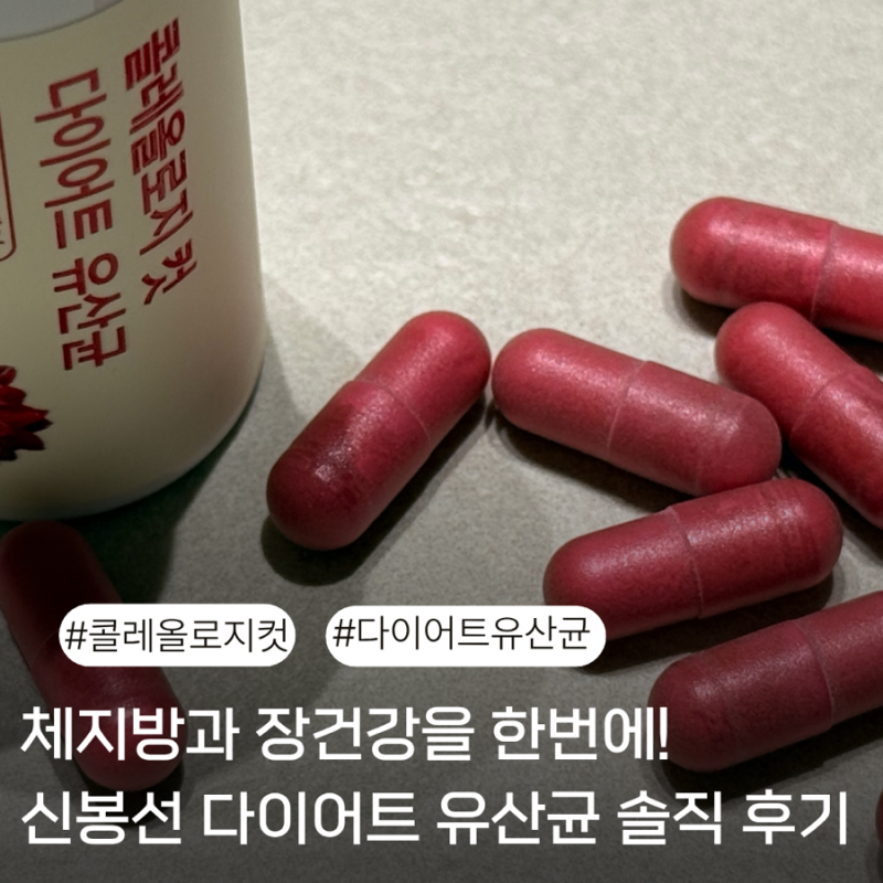 다이어트 유산균 추천 / 푸드올로지 콜레올로지컷 섭취 후기 신봉선 다이어트