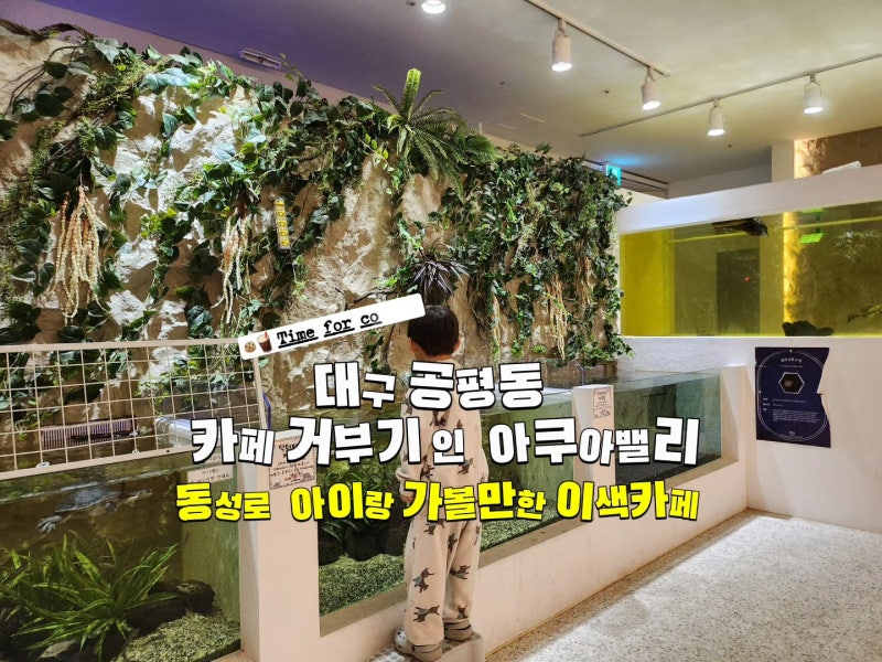 대구 아이 실내 동물체험 동성로카페 대형거북이부터 물고기까지 이색카페 추천 [대구 공평....