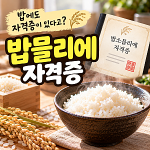 나혼산 김신영이 딴 밥믈리에 자격증, 3일 만에 취득? 시험·비용 총정리