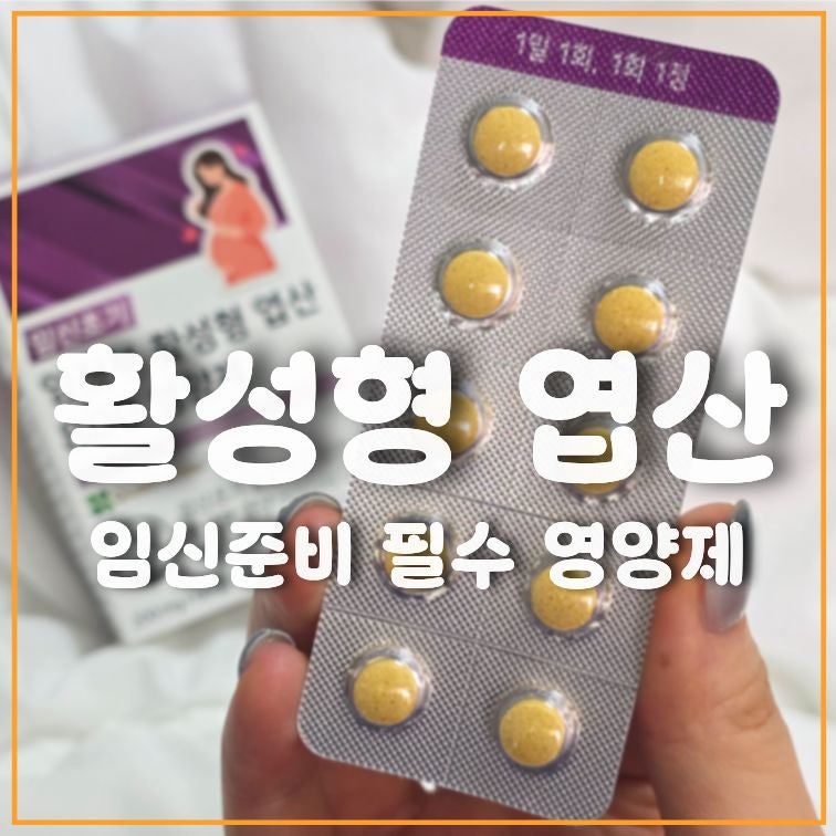 필수 임신 준비 영양제 삼진제약 활성형 엽산 800 추천