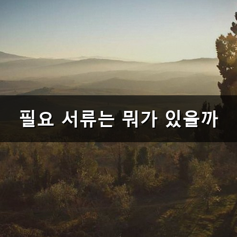 자동차 명의 이전 어떻게 혼자서 쉽게 끝낼 수 있을까