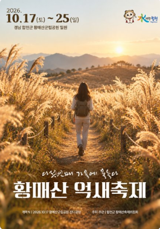 [경남 가볼 만한 곳] 은빛 억새의 물결, 2026 합천 황매산 억새축제 완벽 가이드 (일정, 주차, ....