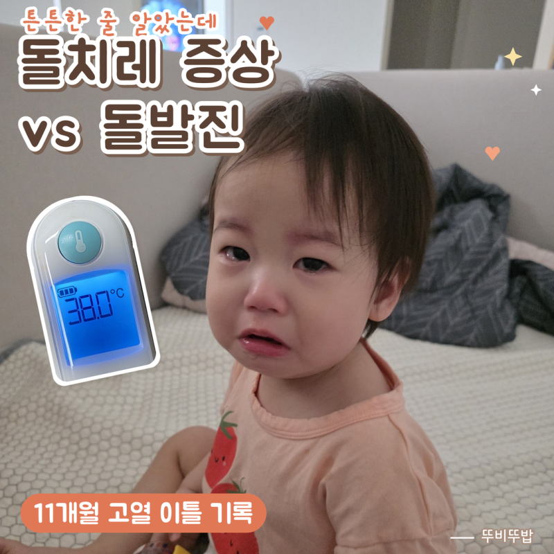 돌치레 증상 vs 돌발진, 헷갈리는 이유 (11개월 아기 고열 2일 후기)