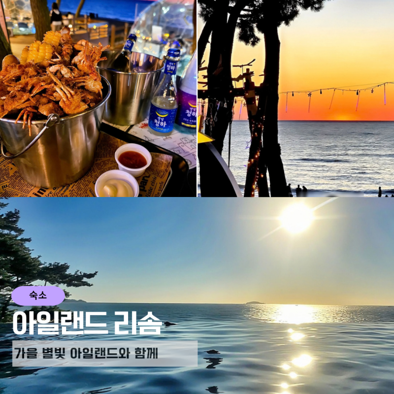태안 아일랜드 리솜 수영장 스파· 아일랜드57· 조식 후기,"밖으로 나갈 필요가 없네?"