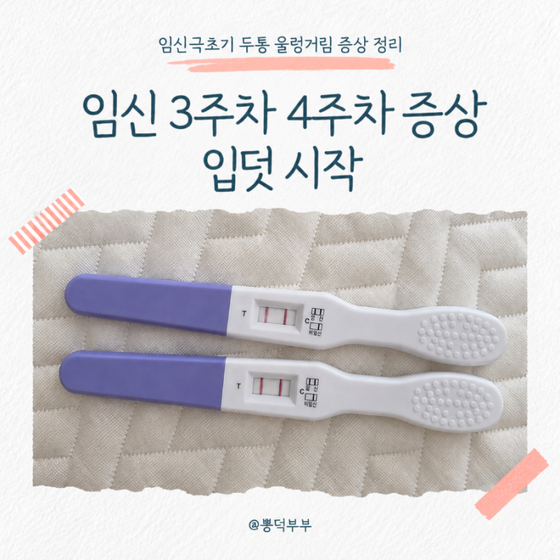 임신 3주차 4주차 임신극초기 증상 두통 울렁거림 입덧 시작