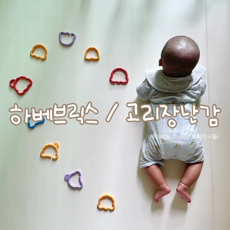 [육아용품] 하베브릭스 고리장난감 세척, 활용 (하베브릭스 베이비링)