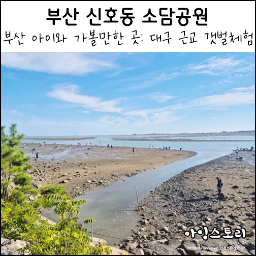 부산 아이와 가볼만한 곳 부산 신호동 소담공원 대구 근교 갯벌체험 무료 맛조개