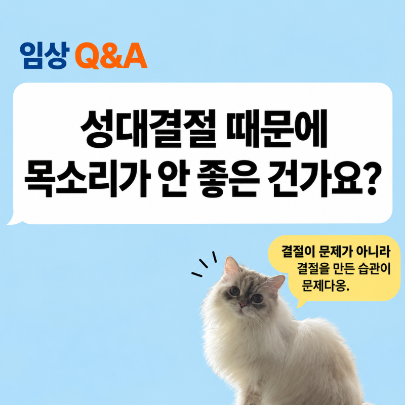 환자들이 자주 하는 질문 14화 | 성대결절 때문에 목소리가 안 좋은 건가요?