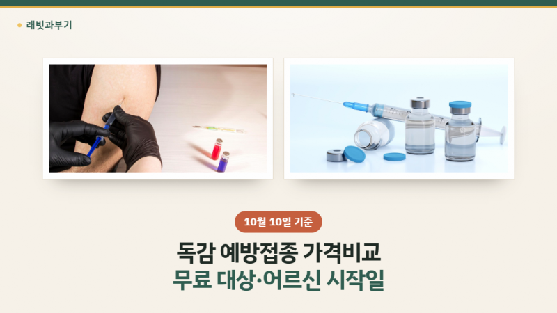 독감 예방접종 가격비교 사이트 조회법, 성인 3만 원 안팎과 무료 대상