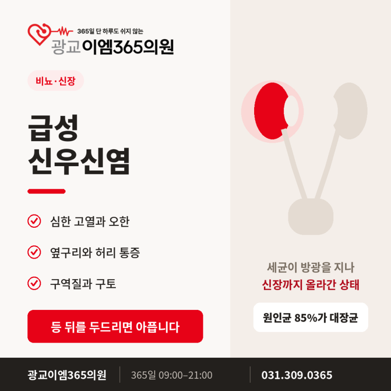 급성신우신염 증상, 방광염·요로결석과 구분하는 법
