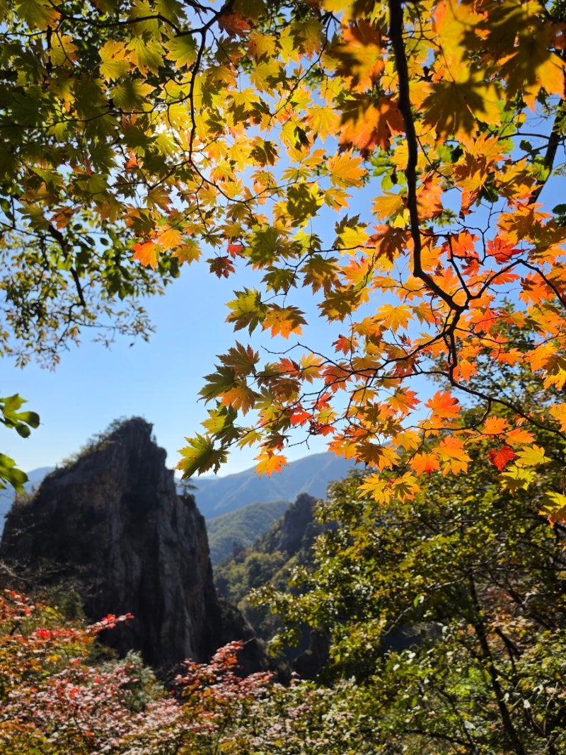 강원 양양 설악산 흘림골 주전골 트레킹(흘림골 - 주전골 - 오색주차장, 6.3km 3시간30분 소요)