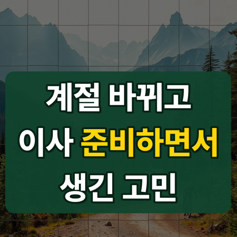 맥세이프 케이스, 아이폰11 프로 맥앤블랙 2배자력 범퍼 사용기