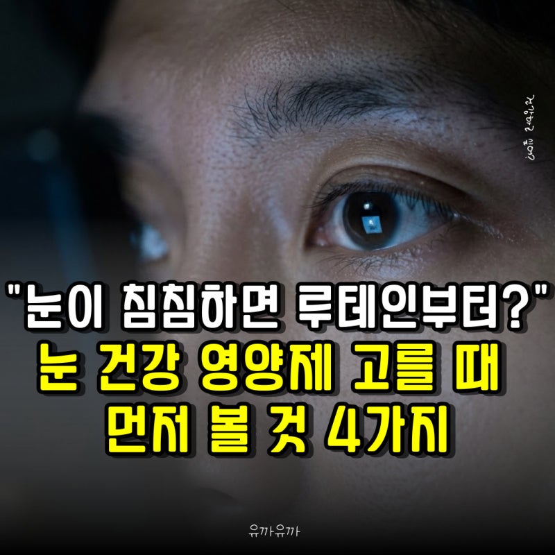 "눈이 침침하면 루테인부터?" 눈 건강 영양제 고를 때 먼저 볼 것 4가지