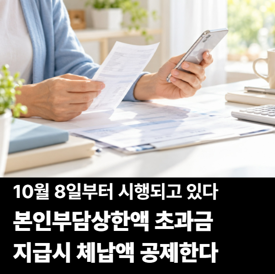 건보 본인부담상한제 환급금 줄어들 수 있습니다 10월 8일 체납보험료 공제