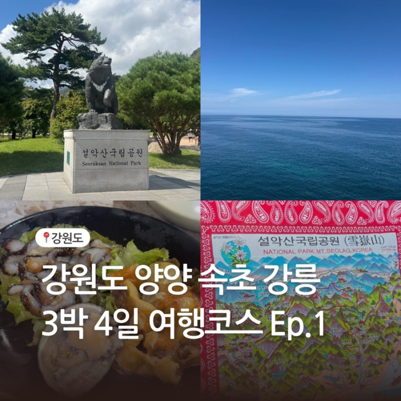 강원도 양양 속초 강릉 3박 4일 여행코스 양양 속초편