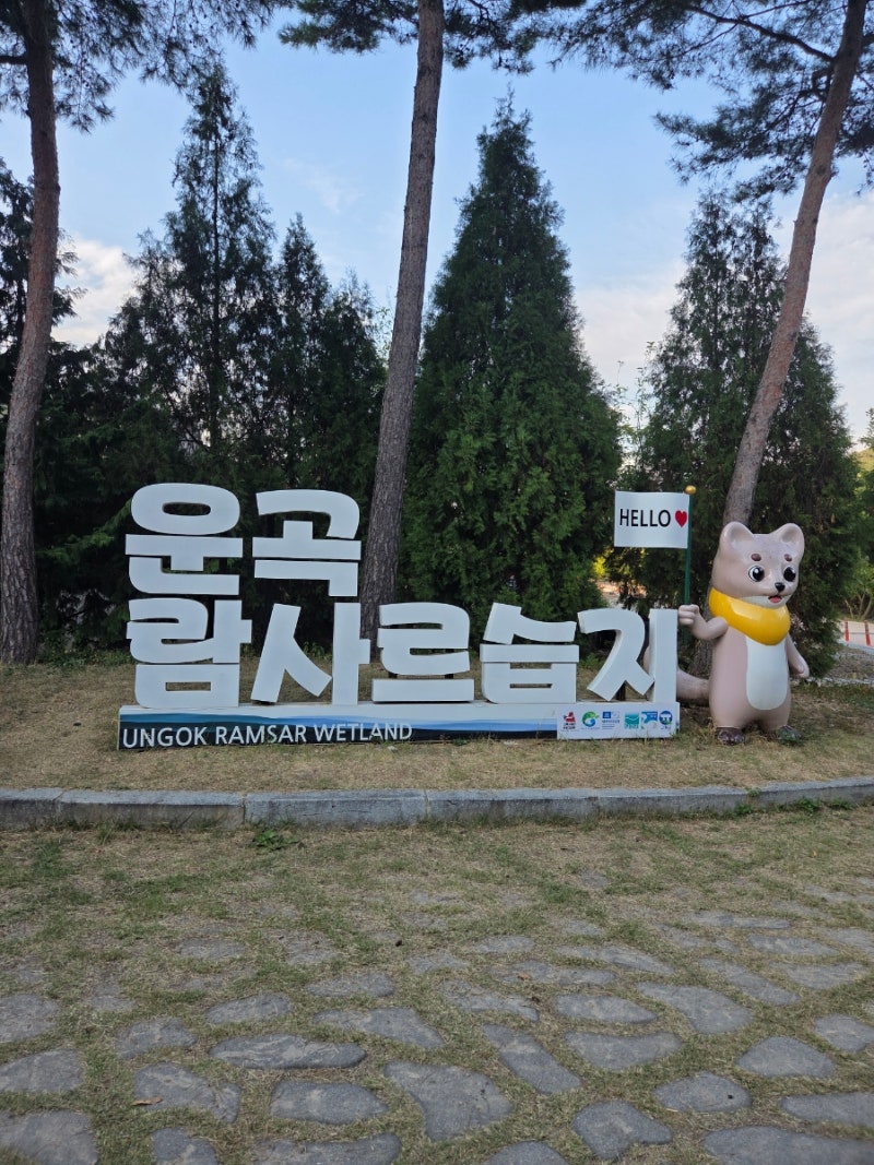 [10월 고창 반띵여행 코스]당일치기 고창 가볼만한곳(상하농원, 운곡람사르습지, 고창읍성)