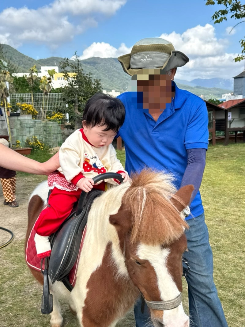 [부산]기장 아기랑 가볼만한 곳, 동물 먹이주기부터 모래놀이 비눗방울, 정원 화단 물주기, ....
