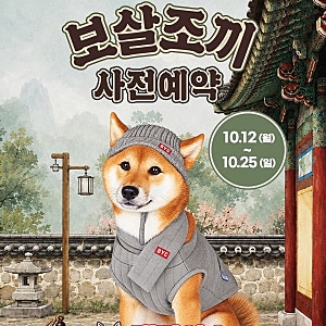강아지 신상 패딩조끼 추천 BYC 개리야스 보살조끼 깔깔이 반려동물 사전예약 일정 가격 구성